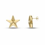 Women's Electroformed Star Earrings in 18K Gold
